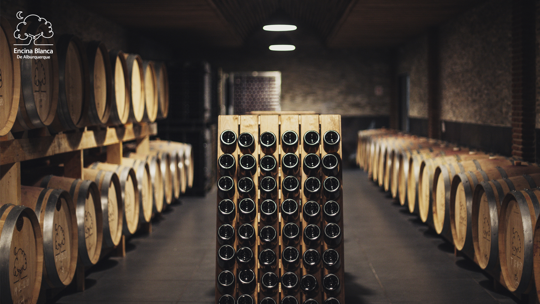 Se pueden ver las botellas de vino encina blanca de alburquerque reposando en la bodega para alcanzar el nivel óptimo de maduración del vino en ellas